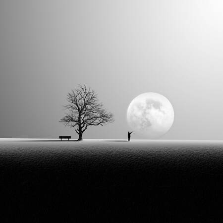 Foto de Jessica R.